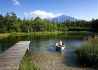 Objekt Nr.: 530-826223