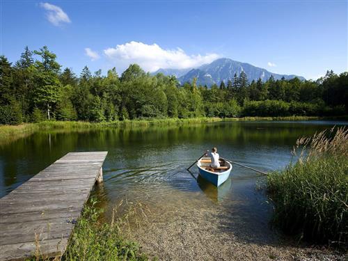 Objekt Nr.: 530-826223