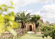 Objekt Nr.: 535-223927