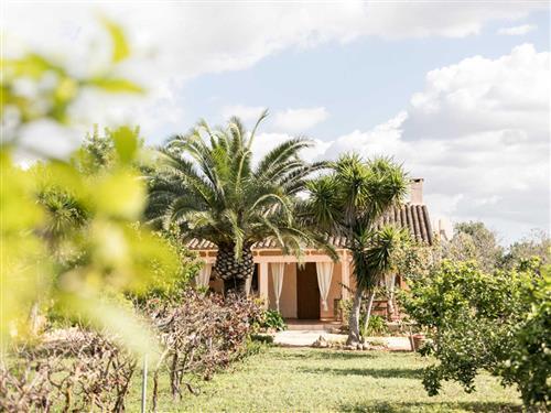 Objekt Nr.: 535-223927