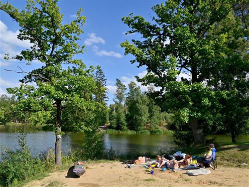 Objekt Nr.: 530-105634