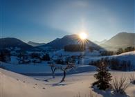 Objekt Nr.: 530-158254