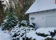 Objekt Nr.: 530-260933