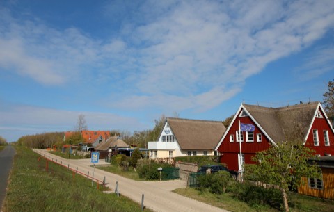 Billede 4