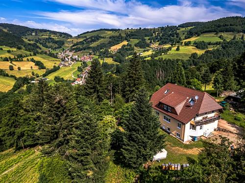 Objekt Nr.: 540-297267-209339