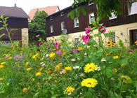 Objekt Nr.: 354-DE-01796-06