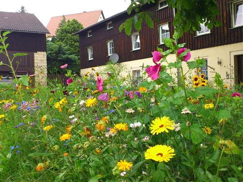 Objekt Nr.: 354-DE-01796-06