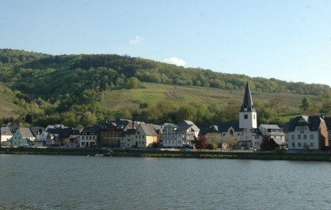 Image 4