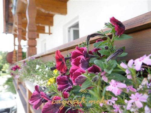 Objekt Nr.: 354-DE-83257-01