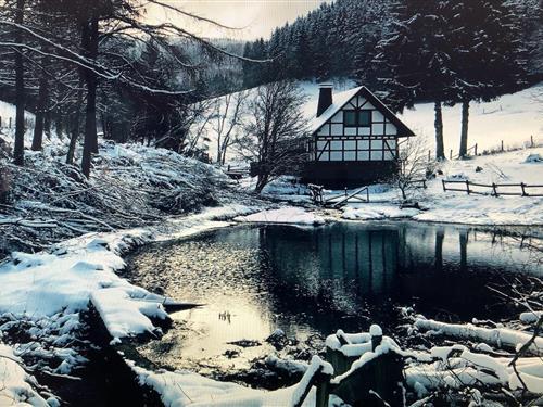 Objekt Nr.: 354-DE-59955-412