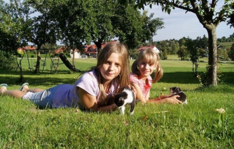 Bild 2