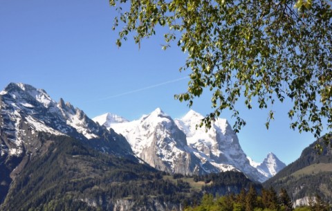 Image 4