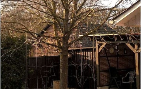 Bild 2