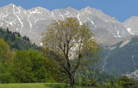 Billede 4