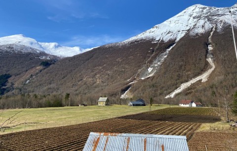 Image 2