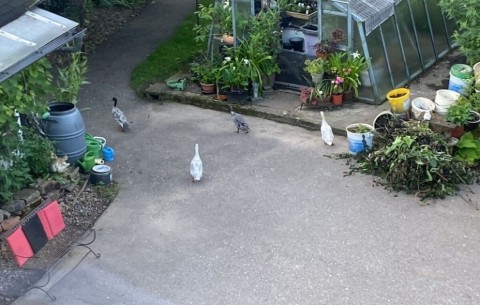 Bild 4