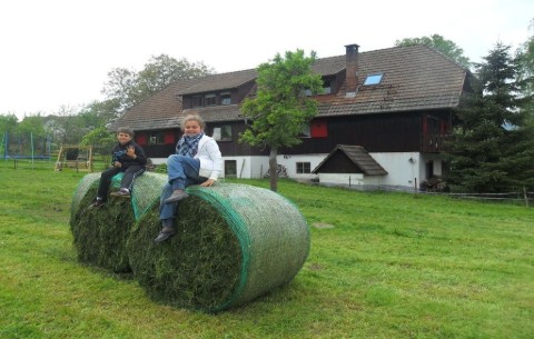Bild 2