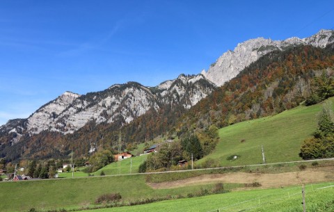 Billede 2