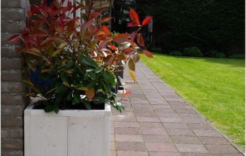 Bild 4