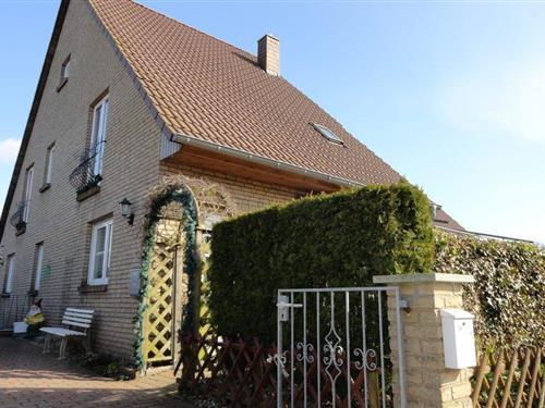 Objekt Nr.: 136-DSH246