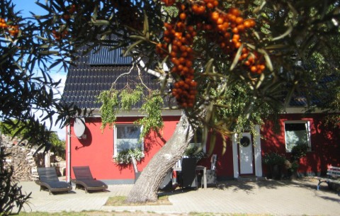 Bild 2