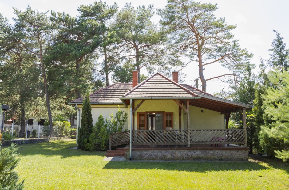Billede 1