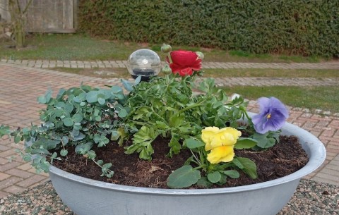 Bild 3