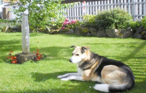 Bild 2