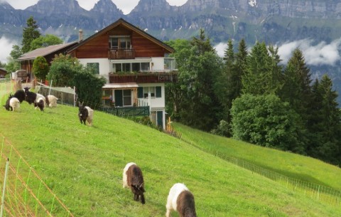 Bild 3