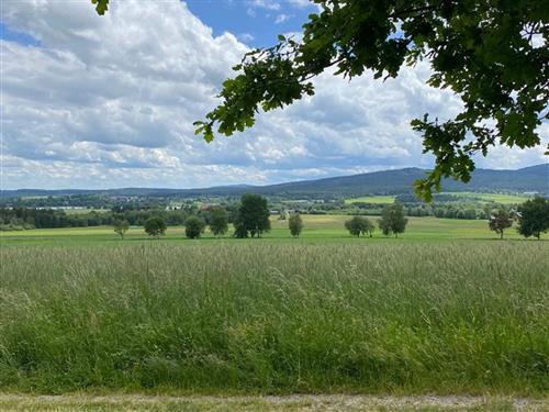 Objekt Nr.: 530-419652