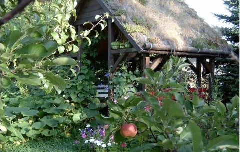 Bild 3