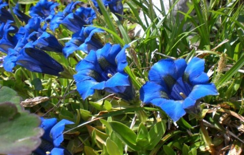 Billede 4