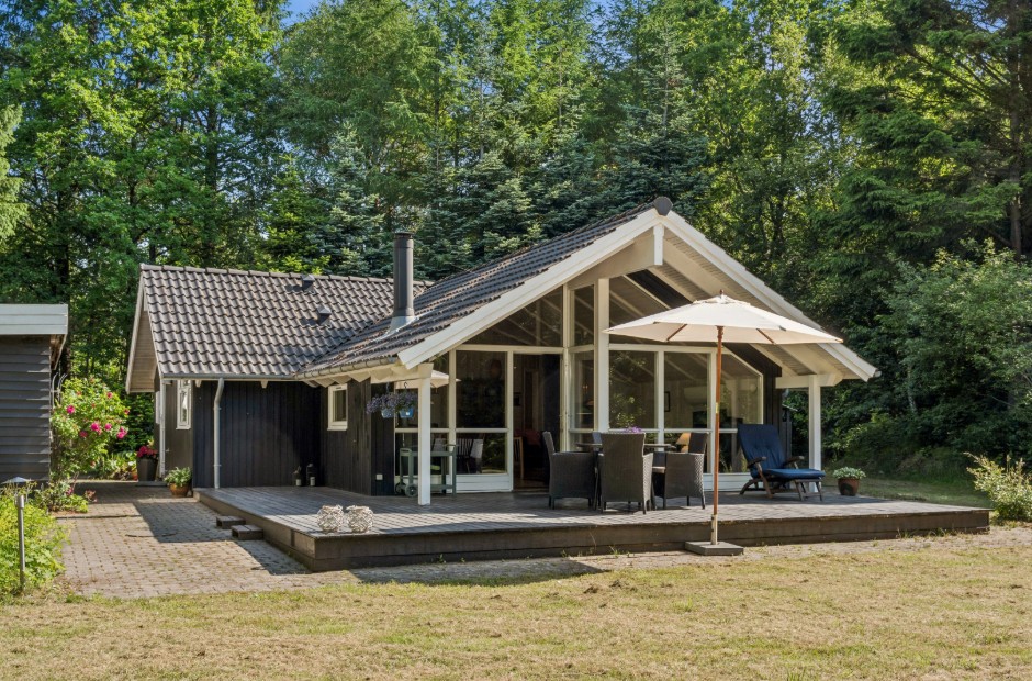 Billede 1