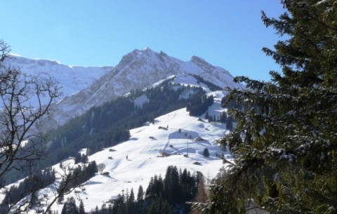 Bild 4