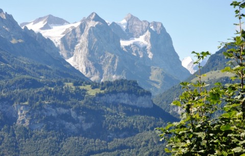 Image 4