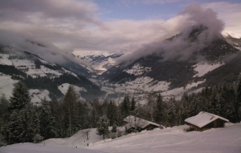 Image 3