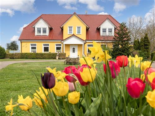 Objekt Nr.: 530-417994