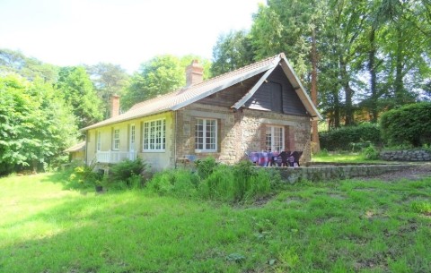 Bild 2