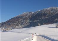 Objekt Nr.: 530-356890