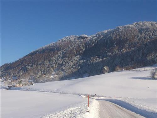 Objekt Nr.: 530-356890