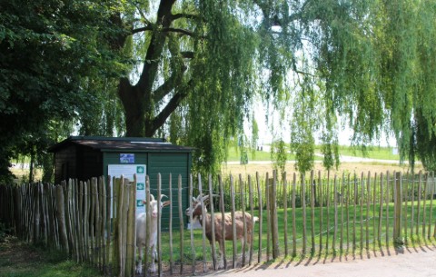 Bild 4