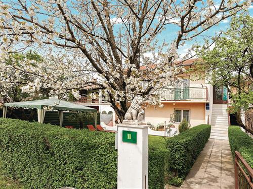 Objekt Nr.: 133-CIP370