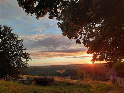 Objekt Nr.: 530-837418