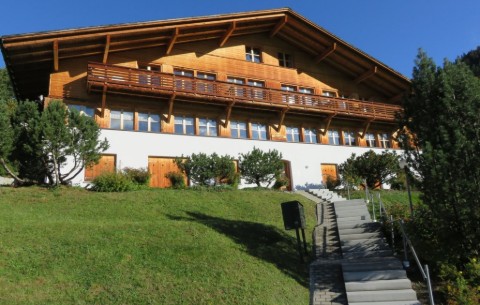 Image 2